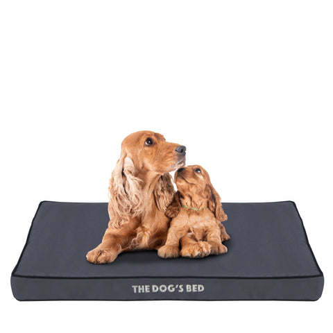 The Dog’s Bed Orthopaedic Egg Crate Foam Dog Bed with Standard Support (Grey with Black Trim)