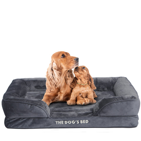 The Dog’s Bed Egg Crate Foam Dog Bed with Standard Support with Bolster (Grey Plush)