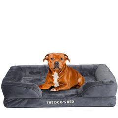 The Dog’s Bed Egg Crate Foam Dog Bed with Standard Support with Bolster (Grey Plush)