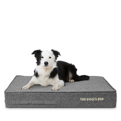 The Dog’s Bed Orthopaedic Memory Foam Dog Bed with Enhanced Support, Waterproof, Supportive Dog Bed with Replaceable Covers, Veterinary Approved (Grey Linen)