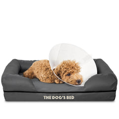 The Dog’s Bed Orthopaedic Memory Foam Dog Bed with Bolster & Enhanced Support, Waterproof, Supportive Dog Bed with Replaceable Covers, Veterinary Approved (Grey with Black Trim)