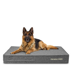 The Dog’s Bed Orthopaedic Memory Foam Dog Bed with Enhanced Support, Waterproof, Supportive Dog Bed with Replaceable Covers, Veterinary Approved (Grey Linen)