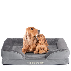 The Dog’s Bed Egg Crate Foam Dog Bed with Standard Support with Bolster (Silver Grey Plush)