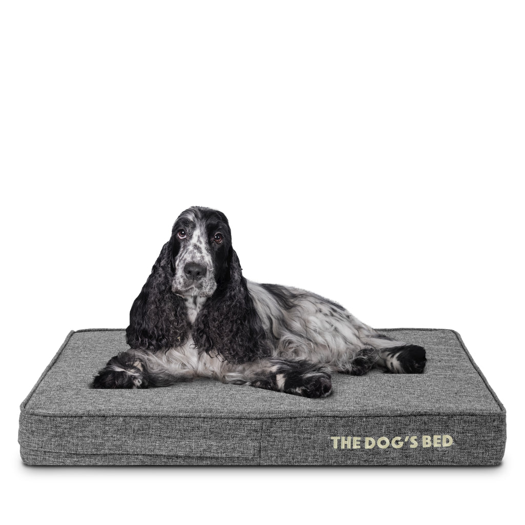 The Dog’s Bed Orthopaedic Memory Foam Dog Bed with Enhanced Support, Waterproof, Supportive Dog Bed with Replaceable Covers, Veterinary Approved (Grey Linen)