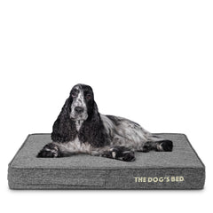 The Dog’s Bed Orthopaedic Memory Foam Dog Bed with Enhanced Support, Waterproof, Supportive Dog Bed with Replaceable Covers, Veterinary Approved (Grey Linen)