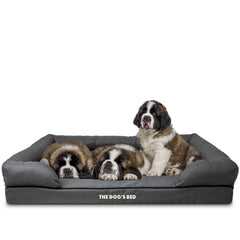 The Dog’s Bed Orthopaedic Memory Foam Dog Bed with Bolster & Enhanced Support, Waterproof, Supportive Dog Bed with Replaceable Covers, Veterinary Approved (Grey with Black Trim)