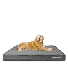 The Dog’s Bed Orthopaedic Memory Foam Dog Bed with Enhanced Support, Waterproof, Supportive Dog Bed with Replaceable Covers, Veterinary Approved (Grey Linen)