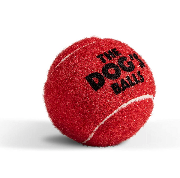 The Little Dog s Balls 6 Strong Little Dog Tennis Balls The Dog s Balls