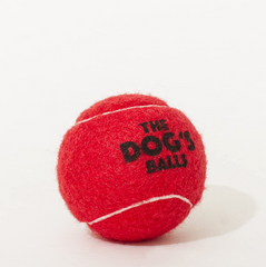 The Dog's Balls - 6 Strong Dog Tennis Balls