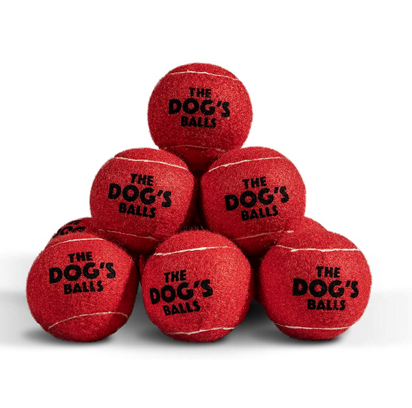 Solid tennis balls for dogs new arrivals
