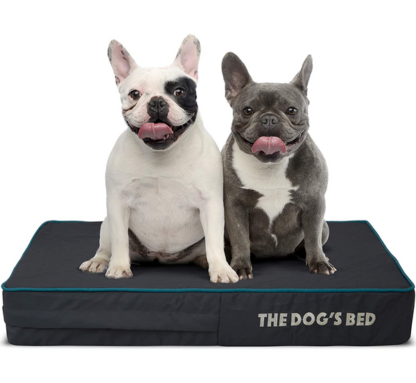 The dogs balls bed outlet
