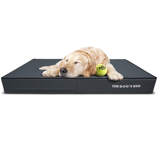 The dogs balls beds top