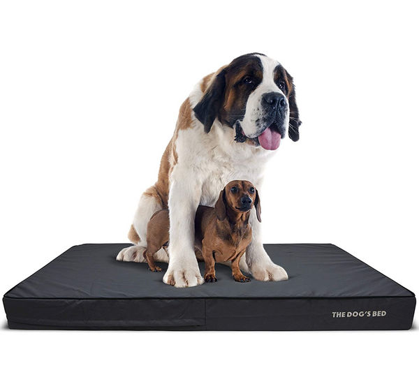 The Dog s Bed Orthopaedic Mattress Bed Grey with Black Trim