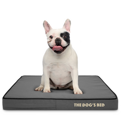 The Dog’s Bed Orthopaedic Mattress Bed (Grey with Black Trim)