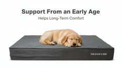 The Dog’s Bed Orthopaedic Memory Foam Dog Bed, Waterproof Washable Cover, Anti-Slip Base, Calming Surface – CertiPUR-Certified Foam, Grey Plush