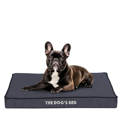 The Dog’s Bed Orthopaedic Egg Crate Foam Dog Bed with Standard Support (Grey with Black Trim)