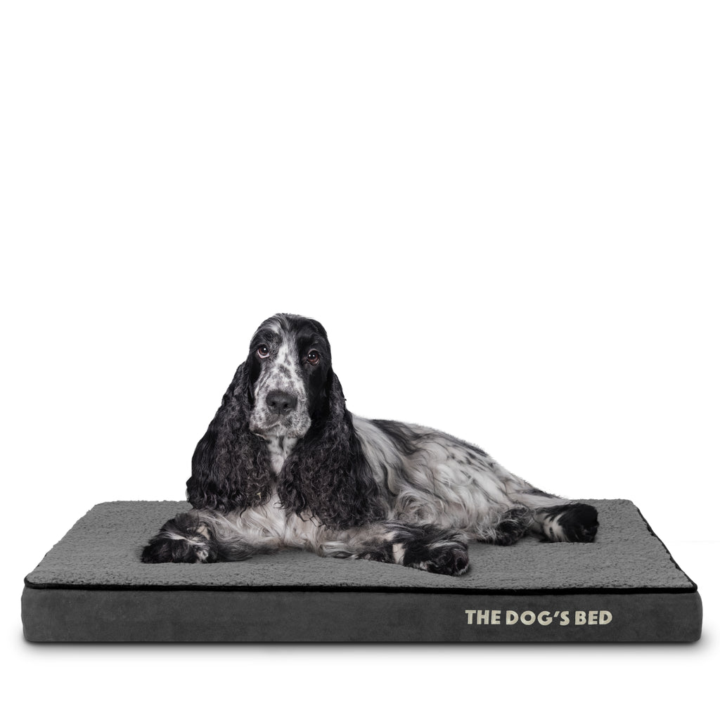 The Dog’s Bed Orthopaedic Memory Foam Dog Bed, Waterproof Washable Cover, Anti-Slip Base, Calming Surface – CertiPUR-Certified Foam, Grey Plush