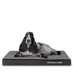 The Dog’s Bed Orthopaedic Memory Foam Dog Bed, Waterproof Washable Cover, Anti-Slip Base, Calming Surface – CertiPUR-Certified Foam, Grey Plush