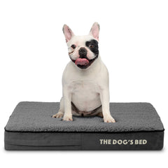The Dog’s Bed Orthopaedic Memory Foam Dog Bed, Waterproof Washable Cover, Anti-Slip Base, Calming Surface – CertiPUR-Certified Foam, Grey Plush