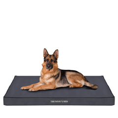 The Dog’s Bed Orthopaedic Egg Crate Foam Dog Bed with Standard Support (Grey with Black Trim)