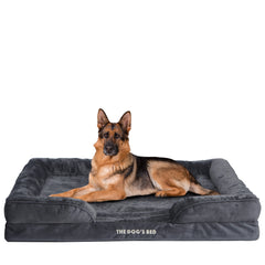 The Dog’s Bed Orthopaedic Egg Crate Foam Dog Bed with Standard Support with Bolster (Grey Plush)