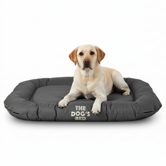The Dog’s Bed – Supportive Dog Bed with Raised Sides, Calming Surface – CertiPUR-Certified Foam