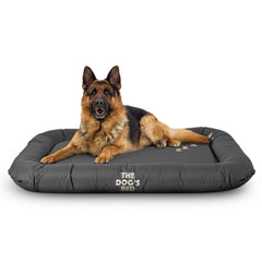 The Dog’s Bed – Supportive Dog Bed with Raised Sides, Calming Surface – CertiPUR-Certified Foam