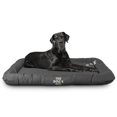 The Dog’s Bed – Supportive Dog Bed with Raised Sides, Calming Surface – CertiPUR-Certified Foam