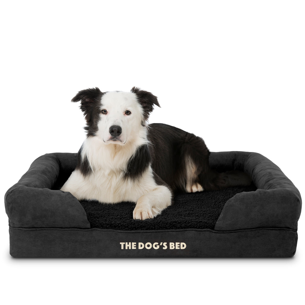 The Dog’s Bed Orthopaedic Memory Foam Dog Bed with Bolster & Enhanced Support, Waterproof, Supportive Dog Bed with Replaceable Covers, Veterinary Approved (Black Plush)