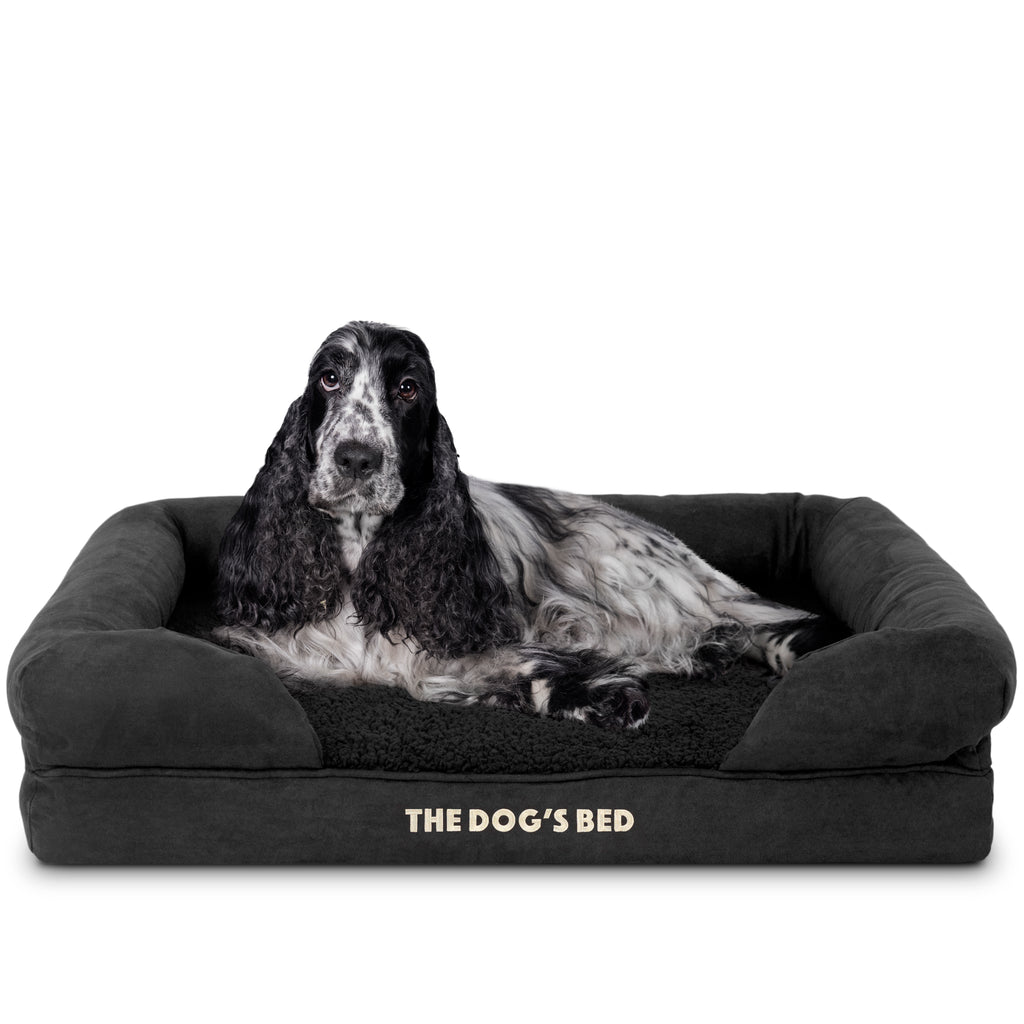 The Dog’s Bed Orthopaedic Memory Foam Dog Bed with Bolster & Enhanced Support, Waterproof, Supportive Dog Bed with Replaceable Covers, Veterinary Approved (Black Plush)