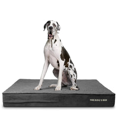 The Dog’s Bed Orthopaedic Memory Foam Dog Bed, Waterproof Washable Cover, Anti-Slip Base, Calming Surface – CertiPUR-Certified Foam, Grey Plush