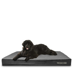 The Dog’s Bed Orthopaedic Memory Foam Dog Bed, Waterproof Washable Cover, Anti-Slip Base, Calming Surface – CertiPUR-Certified Foam, Grey Plush