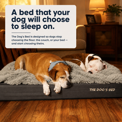 The Dog’s Bed Orthopaedic Memory Foam Dog Bed, Waterproof Washable Cover, Anti-Slip Base, Calming Surface – CertiPUR-Certified Foam, Grey Plush