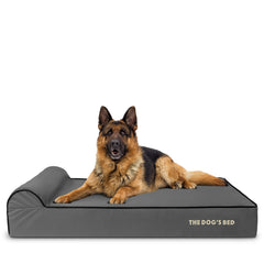 The Dog’s Bed Orthopaedic Dog Bed, Headrest Waterproof Memory Foam Dog Bed