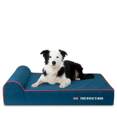 The Dog’s Bed Orthopaedic Dog Bed, Headrest Waterproof Memory Foam Dog Bed