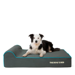 The Dog’s Bed Orthopaedic Dog Bed, Headrest Waterproof Memory Foam Dog Bed