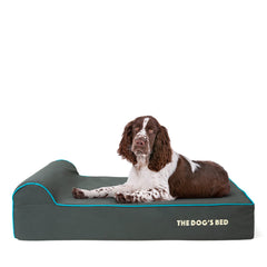 The Dog’s Bed Orthopaedic Dog Bed, Headrest Waterproof Memory Foam Dog Bed