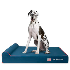The Dog’s Bed Orthopaedic Dog Bed, Headrest Waterproof Memory Foam Dog Bed