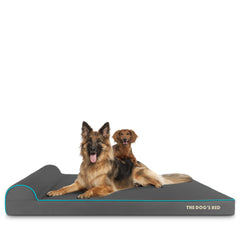 The Dog’s Bed Orthopaedic Dog Bed, Headrest Waterproof Memory Foam Dog Bed