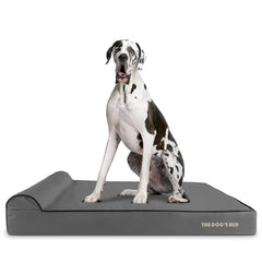 The Dog’s Bed Orthopaedic Dog Bed, Headrest Waterproof Memory Foam Dog Bed