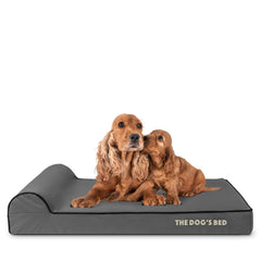 The Dog’s Bed Orthopaedic Dog Bed, Headrest Waterproof Memory Foam Dog Bed