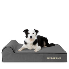The Dog’s Bed Orthopaedic Dog Bed, Headrest Waterproof Memory Foam Dog Bed