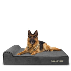 The Dog’s Bed Orthopaedic Dog Bed, Headrest Waterproof Memory Foam Dog Bed