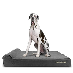 The Dog’s Bed Orthopaedic Dog Bed, Headrest Waterproof Memory Foam Dog Bed