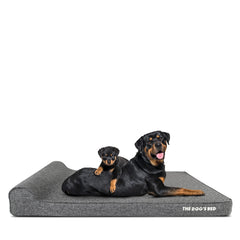 The Dog’s Bed Orthopaedic Dog Bed, Headrest Waterproof Memory Foam Dog Bed
