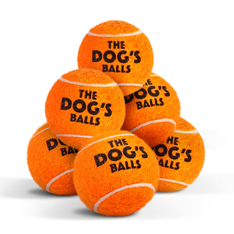 The Little Dog's Balls - 6 Strong Little Dog Tennis Balls