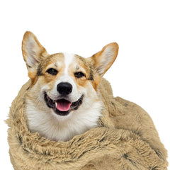 The Dog’s Blanket Sound Sleep Donut Dog Blanket, Soft, Calming, Anti-Anxiety Snuggler Blankets