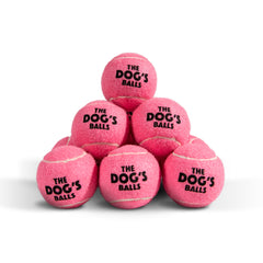 The Dog's Balls - 12 Strong Dog Tennis Balls