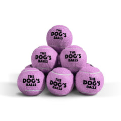The Dog's Balls - 12 Strong Dog Tennis Balls
