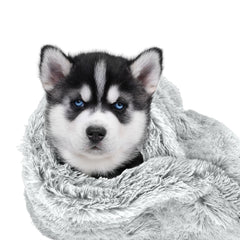 The Dog’s Blanket Sound Sleep Donut Dog Blanket, Soft, Calming, Anti-Anxiety Snuggler Blankets